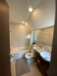 Sungrove (D5), Semi-Detached #497595761